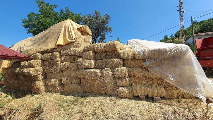 Amasya'da motosiklet hırsızlığıyla ilgili 2 zanlı tutuklandı G2
