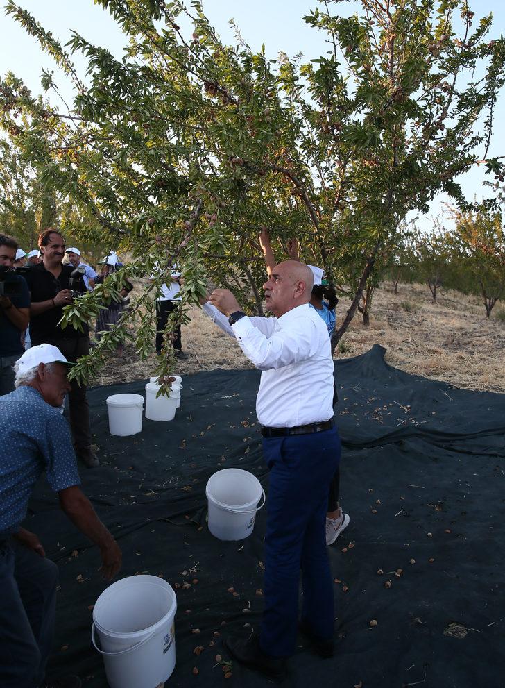 Tarım ve Orman Bakanı Kirişci, İzmir'de badem hasadına katıldı G2