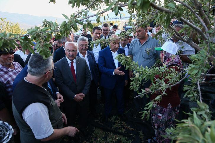 Tarım ve Orman Bakanı Kirişci, İzmir'de badem hasadına katıldı G3