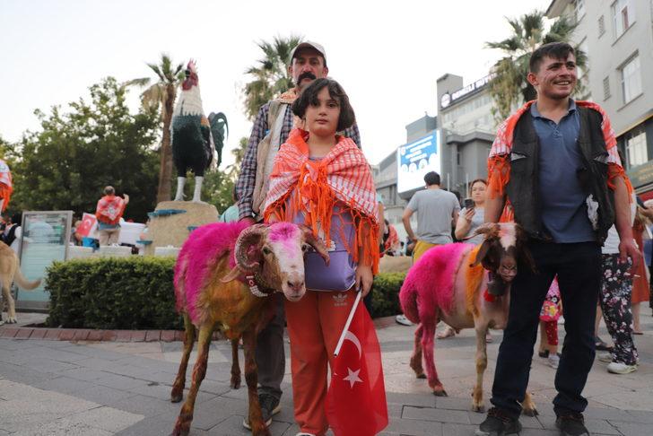Denizli'de "Sudan Koyun Geçirme Yarışması" hazırlıkları G1