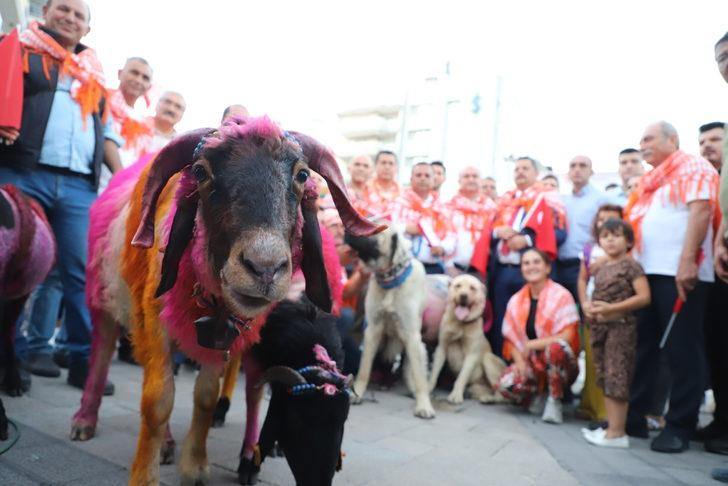 Denizli'de "Sudan Koyun Geçirme Yarışması" hazırlıkları G3