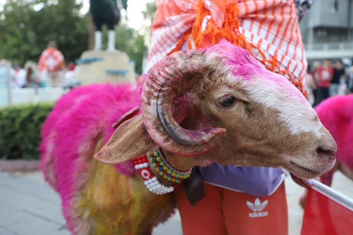 Denizli'de "Sudan Koyun Geçirme Yarışması" hazırlıkları G4