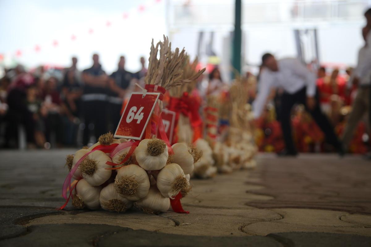 34. Uluslararası Taşk&ouml;pr&uuml; K&uuml;lt&uuml;r ve Sarımsak Festivali