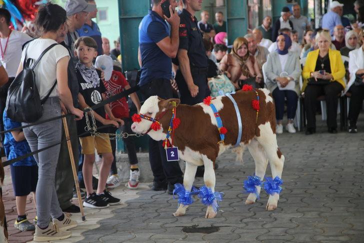34. Uluslararası Taşköprü Kültür ve Sarımsak Festivali G2