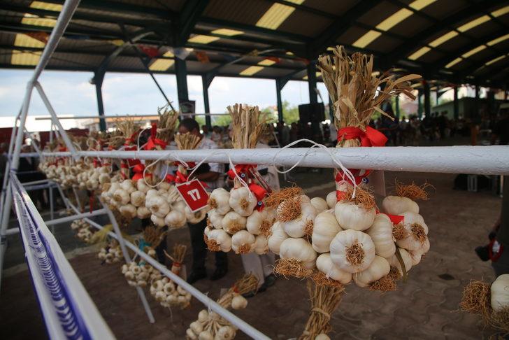 34. Uluslararası Taşköprü Kültür ve Sarımsak Festivali G3