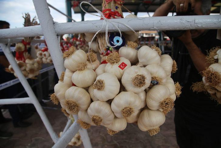 34. Uluslararası Taşköprü Kültür ve Sarımsak Festivali G4