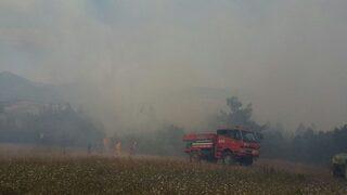 Osmaneli’de orman yangını