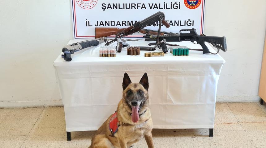 Şanlıurfa'da silah kaçakçılarına yönelik operasyonda 3 şüpheli yakalandı