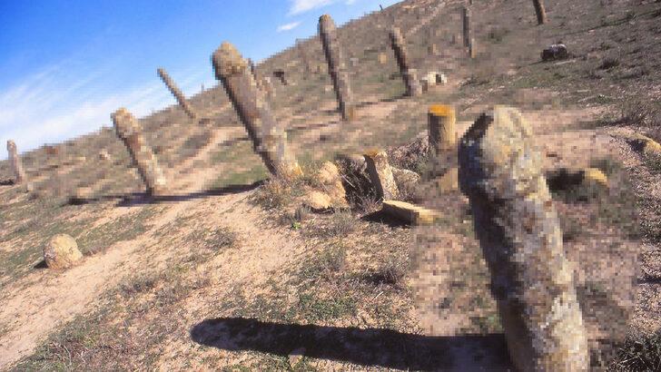 Bu mezarlık tartışma yaratıyor! Kadın ve erkek cinsel organlarına benzeyen mezar taşları sosyal medyada gündem oldu G1