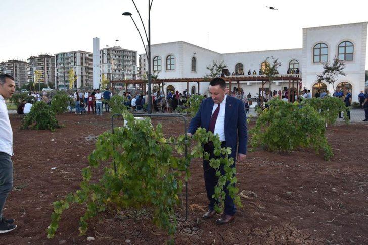Diyarbakır'daki bağ kültürü, Bağlar'da uygulanan projeyle canlandırıldı G4