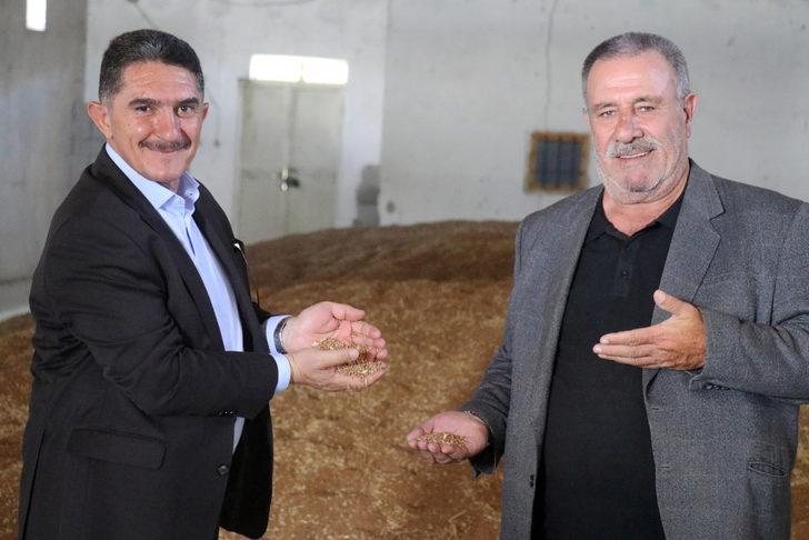 Ağrı'da yağışlarla tarım ürünlerinde verim artışı yaşanıyor G1