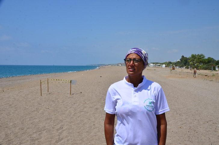 Antalya'da deniz yerine caddeye yönelen caretta carettalar telef oldu G3