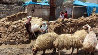 İşte AYM’ye iptal kararı verdiren aile