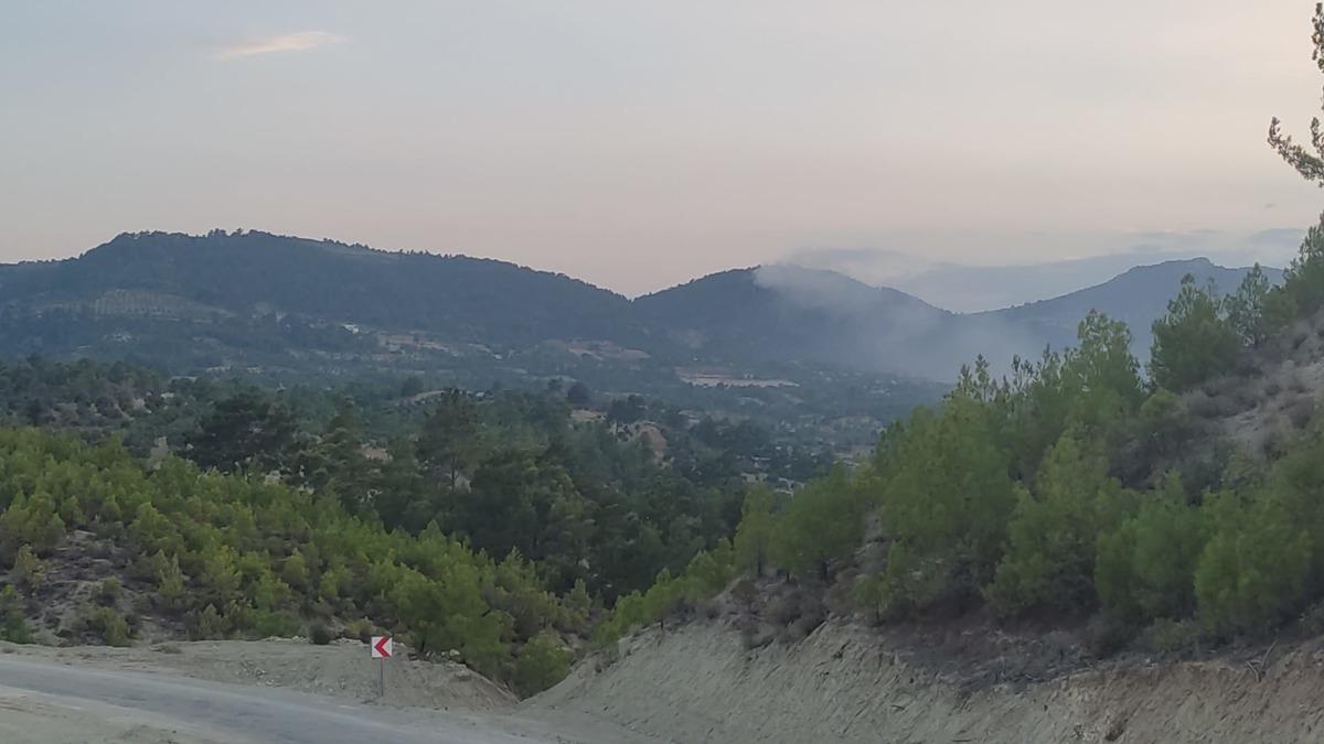 Mersin'de &ccedil;ıkan orman yangını kontrol altına alındı