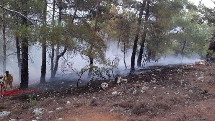 Mersin'de çıkan orman yangını kontrol altına alındı G3