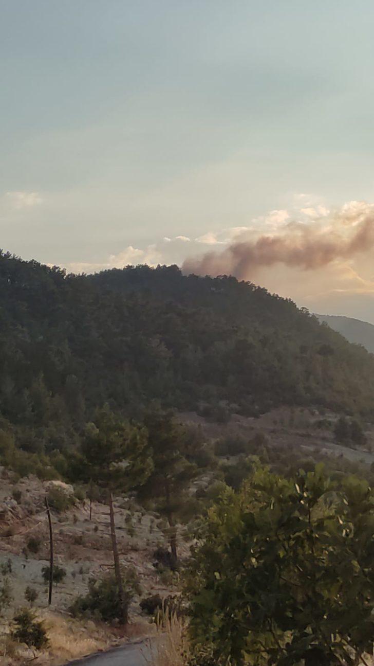 Mersin'de çıkan orman yangını kontrol altına alındı G4
