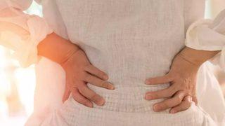 Böbrekleri tertemiz yapıyor! Mucizevi etkileri var