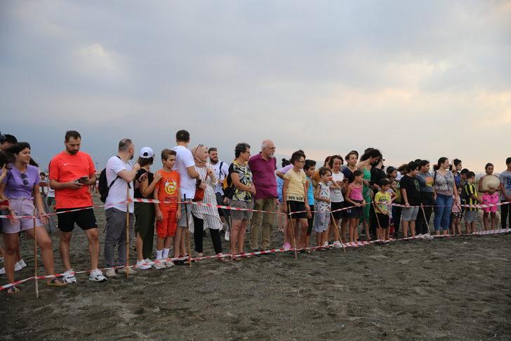 Hatay'da yumurtalarından çıkan kaplumbağa yavruları denizle buluştu G2