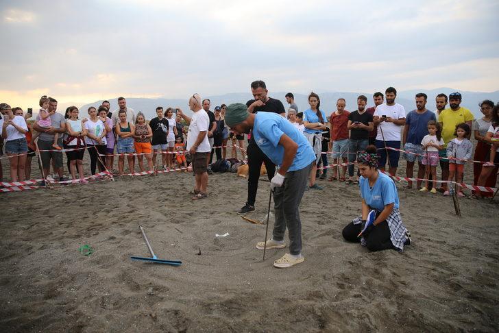 Hatay'da yumurtalarından çıkan kaplumbağa yavruları denizle buluştu G3