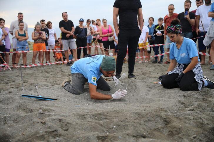Hatay'da yumurtalarından çıkan kaplumbağa yavruları denizle buluştu G4