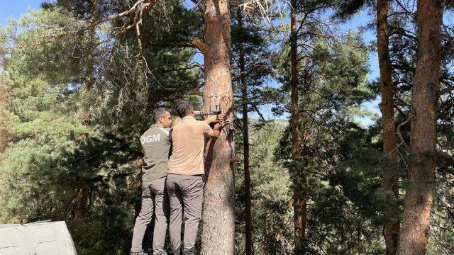 Kars'ta ormanlar yapay zeka fotokapanlarla korunuyor