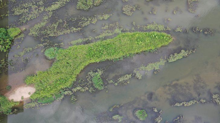 Kuraklıktan etkilenen Tunca Nehri dip seviyede akıyor G5