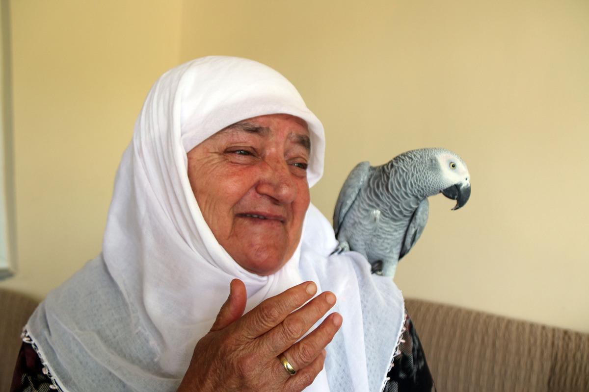 Sivas'ta 3 g&uuml;n &ouml;nce kaybolan papağanları "Sultan"a kavuşan &ccedil;ift mutluluk yaşadı
