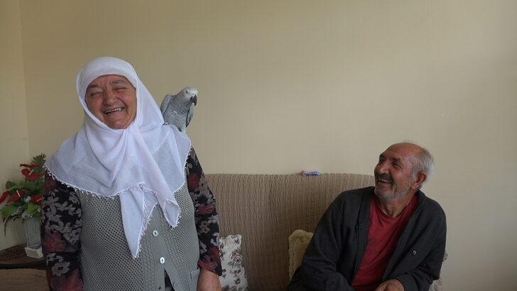 Sivas'ta 3 gün önce kaybolan papağanları "Sultan"a kavuşan çift mutluluk yaşadı G2