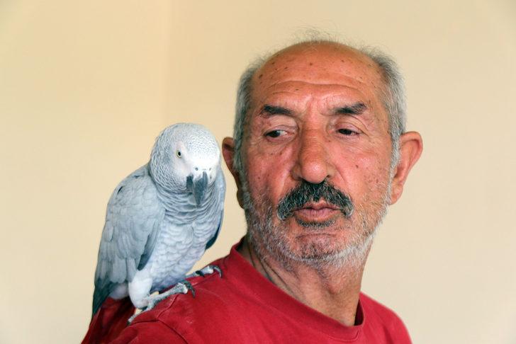 Sivas'ta 3 gün önce kaybolan papağanları "Sultan"a kavuşan çift mutluluk yaşadı G3