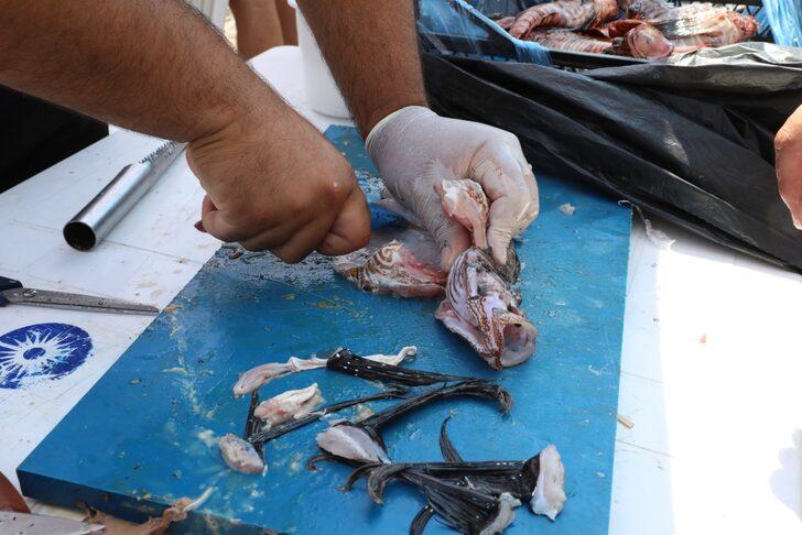 Antalya'da "Aslan Balığı Avlama Yarışması" düzenlendi G3