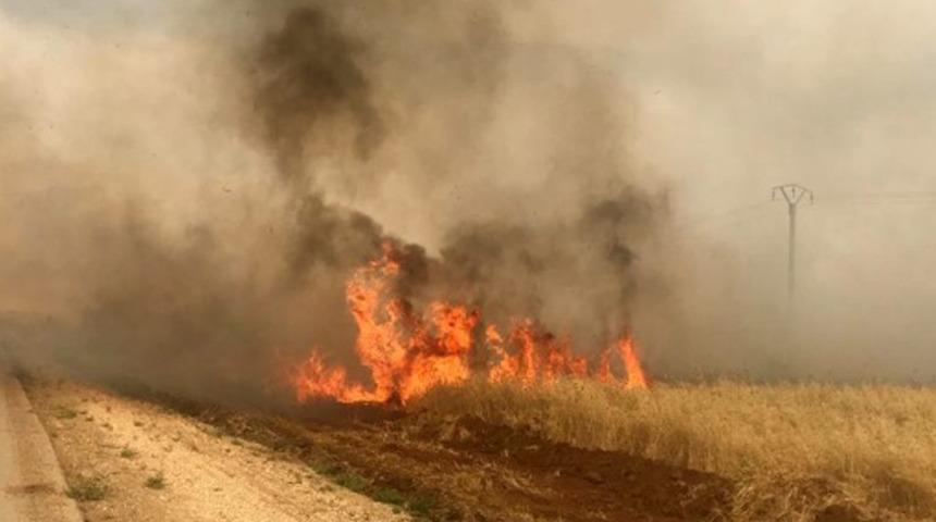 Son Dakika: MSB duyurdu! Terör örgütü PKK/YPG, Pençe-Kilit Operasyonu bölgesi Serdeşt köyü kırsalında yangın çıkardı