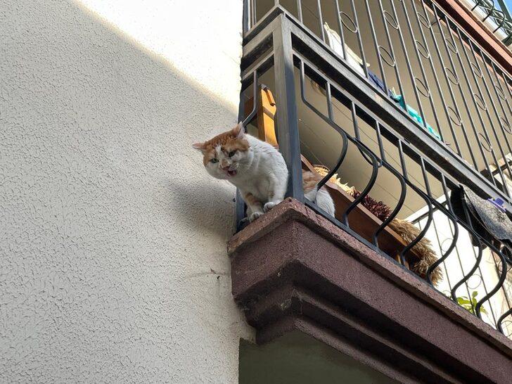 İzmir'de çıkan ev yangınında vücudunda yanıklar oluşan kadın tedavi altına alındı G4