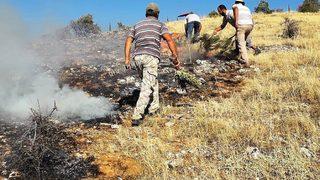Elazığ'da çıkan orman yangını söndürüldü