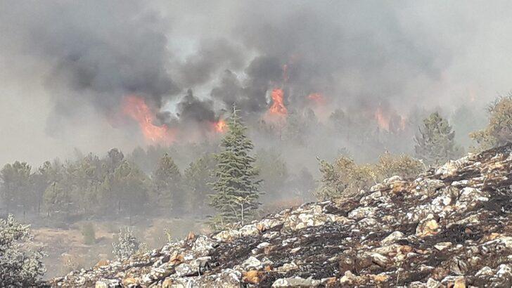 Elazığ'da çıkan orman yangını söndürüldü G2