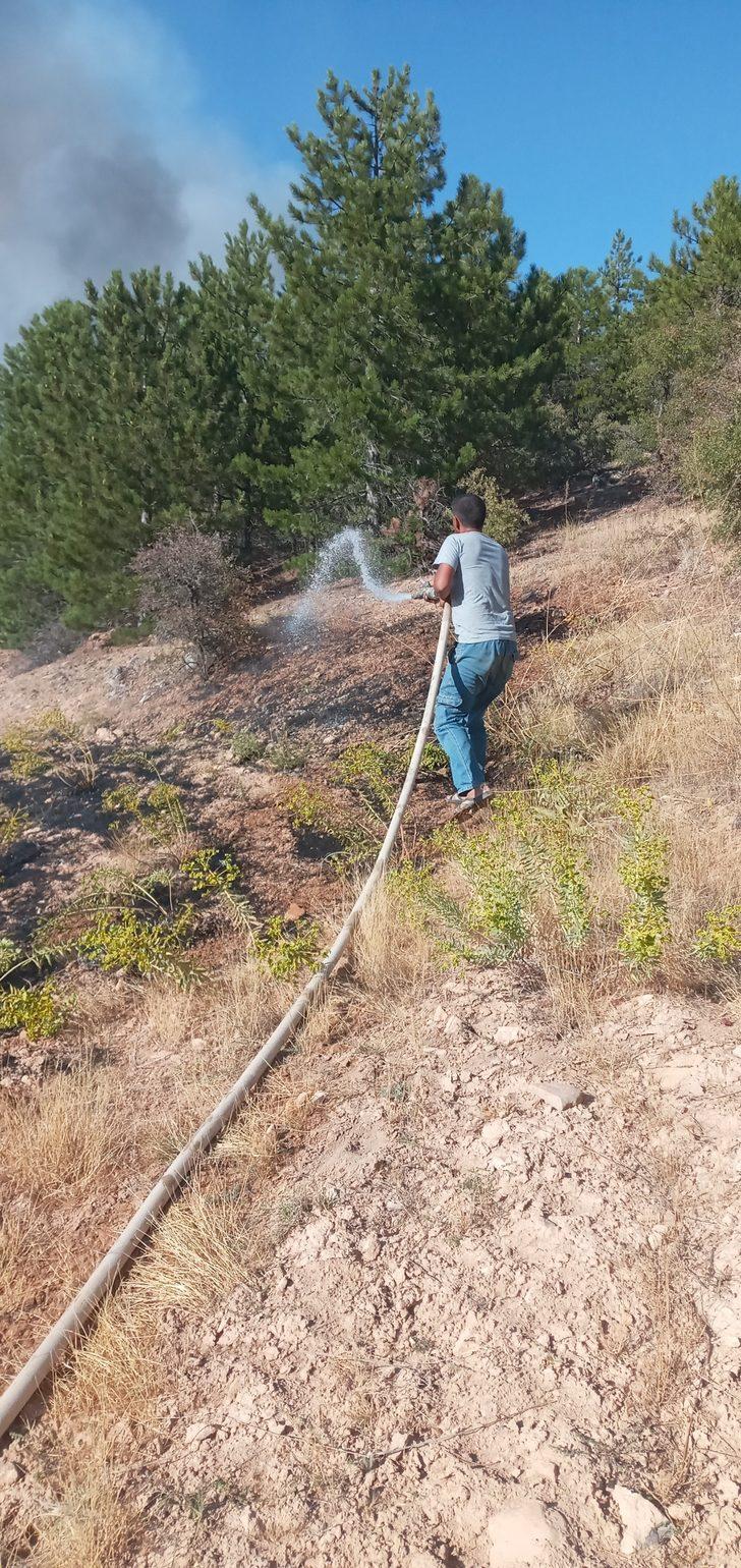 Elazığ'da çıkan orman yangını söndürüldü G3