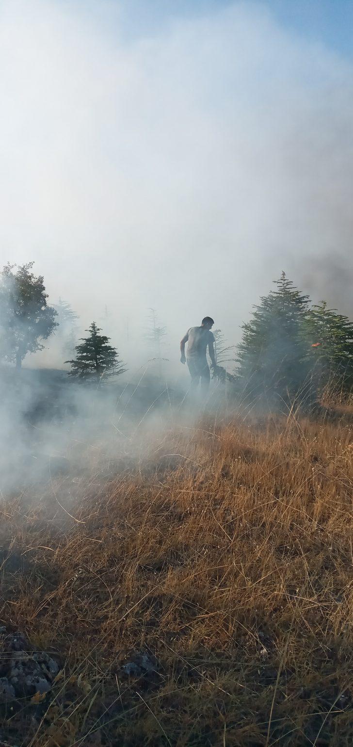 Elazığ'da çıkan orman yangını söndürüldü G4