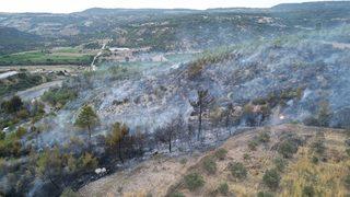 GÜNCELLEME - Manisa'daki orman yangını kontrol altına alındı