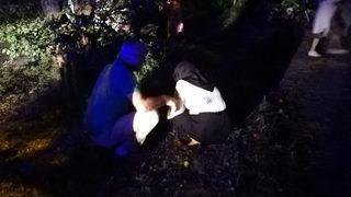 Düğünde dağıtılan tavuk pilav hastanelik etti! 27 kişi tedavi altına alındı