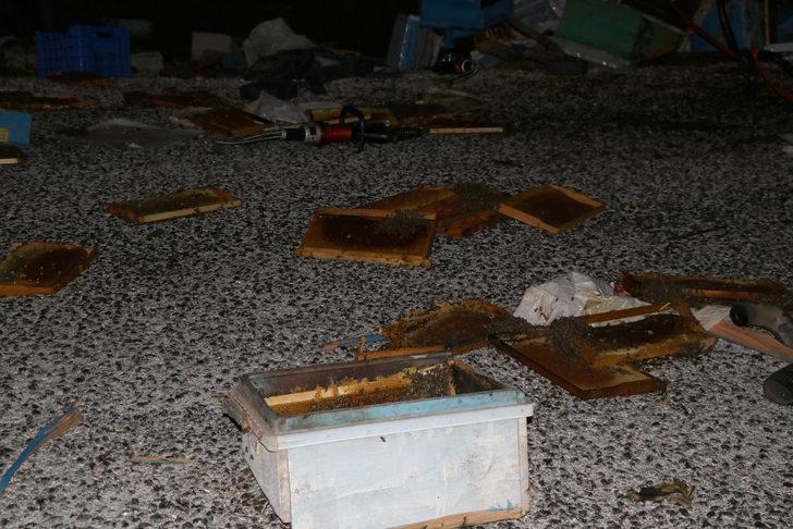 Muğla'da kamyonla otomobilin çarpışması sonucu 4 kişi öldü, 3 kişi yaralandı G2