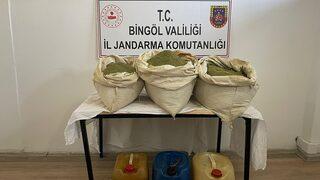 Bingöl'de 92 bin 630 kök Hint keneviri ele geçirildi