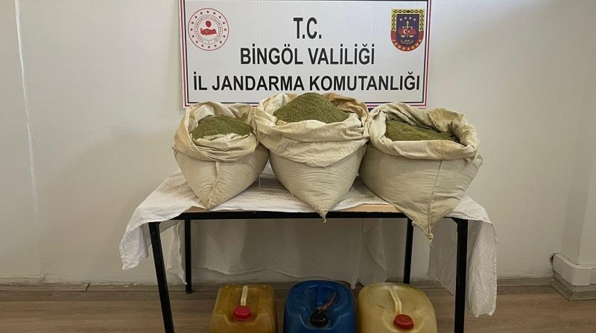 Bingöl'de 92 bin 630 kök Hint keneviri ele geçirildi