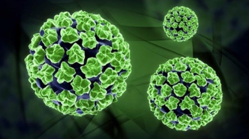 HPV nedir ve HPV nasıl tedavi edilir? 