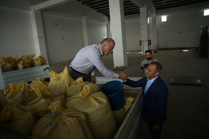 TMO fındık alımlarına başladı G4