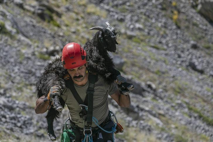 Mersin'de kayalıklarda 3 gün mahsur kalan keçiyi itfaiye kurtardı G2