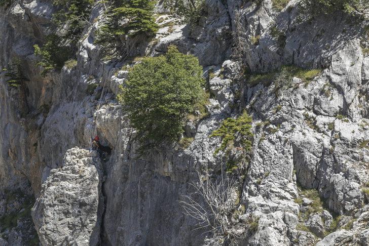 Mersin'de kayalıklarda 3 gün mahsur kalan keçiyi itfaiye kurtardı G4
