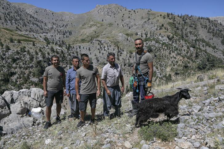 Mersin'de kayalıklarda 3 gün mahsur kalan keçiyi itfaiye kurtardı G5