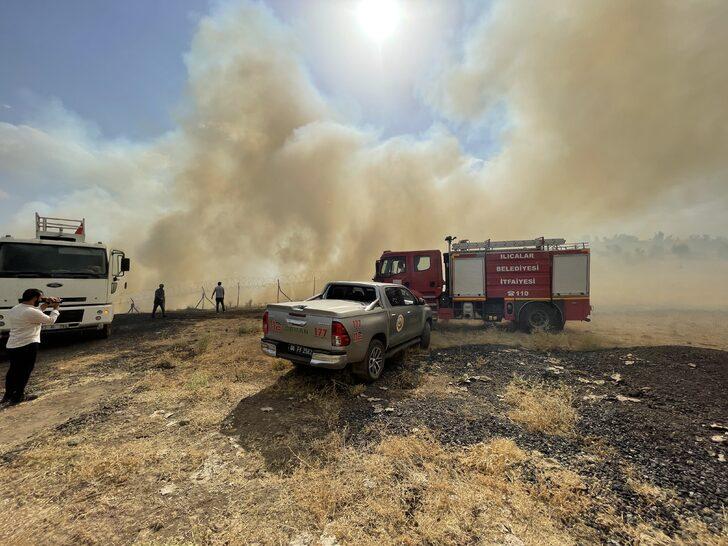 Bingöl'de meşelik ve otluk alanda yangın çıktı G3