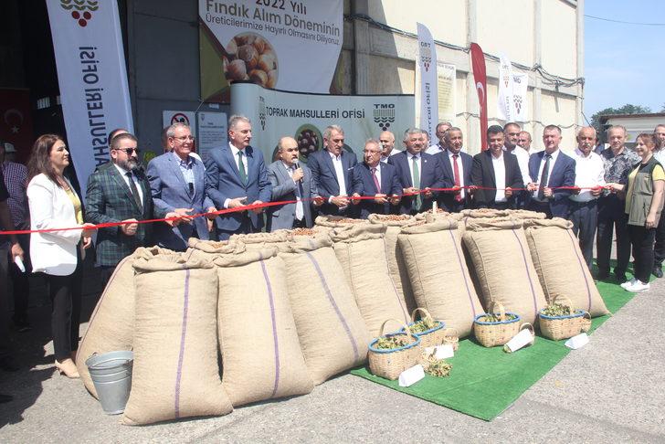 Samsun'da TMO fındık alımlarına başladı G3