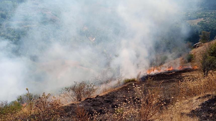 Artvin'de örtü yangınında 20 dönümlük alan zarar gördü