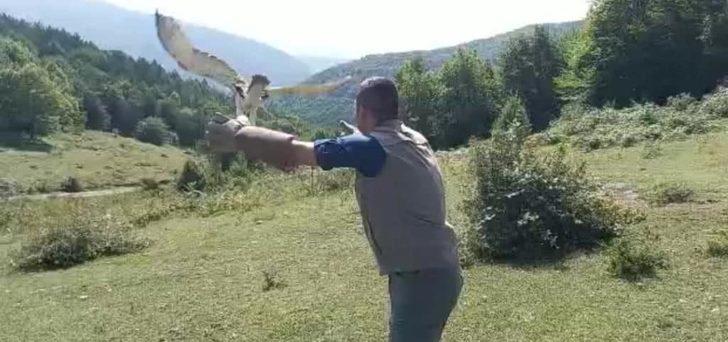 Avladığı yılanı bütün yutarak boğulma tehlikesi geçiren kartalın tedavisi tamamlandı G1